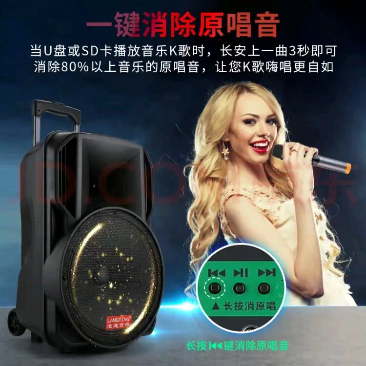 浪庭a12-65户外拉杆音箱演艺广场舞12时重低音蓝牙无线麦克风话筒
