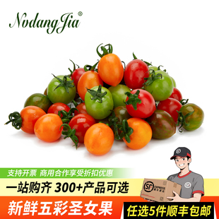 五彩圣女果新鲜多彩小番茄1000g新鲜水果彩色千禧果沙拉西餐食材