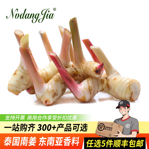 泰国南姜新鲜冬阴功材料