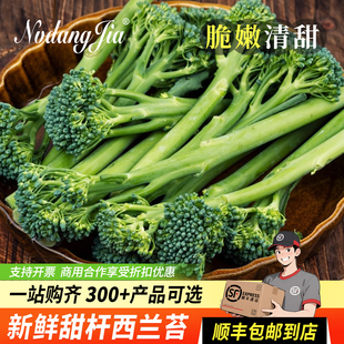 甜杆西兰苔新鲜蔬菜手指西兰花兰花苔青花苔青花菜西餐酒楼食材