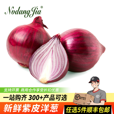 紫皮洋葱新鲜蔬菜西餐中餐佐料