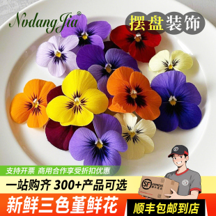 新鲜三色堇可食用花酒店西餐摆盘日料烘焙蛋糕装饰冷艺点缀鲜花草