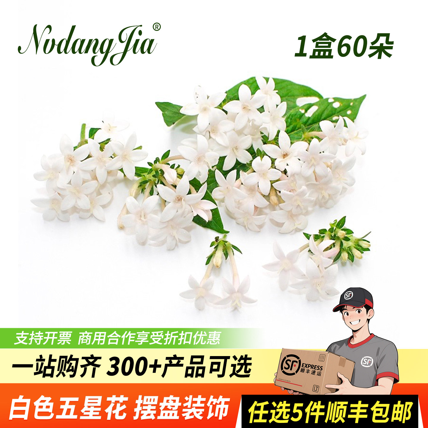 新鲜白色五星花鲜莺罗花西餐料理蛋糕调酒菜品摆盘装饰花草点缀花图片