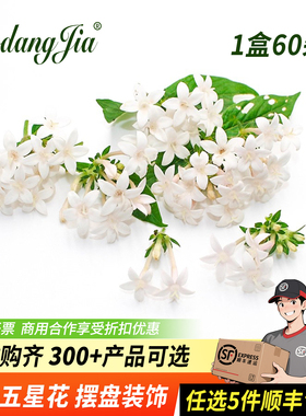 新鲜白色五星花鲜莺罗花西餐料理蛋糕调酒菜品摆盘装饰花草点缀花