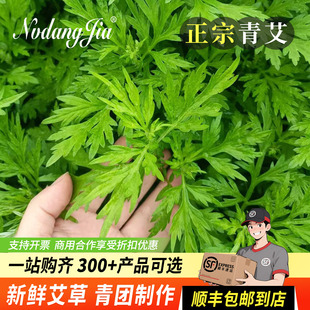 艾叶艾草新鲜食用青团制作现摘清明草正宗艾叶新鲜艾草叶当季 蔬菜