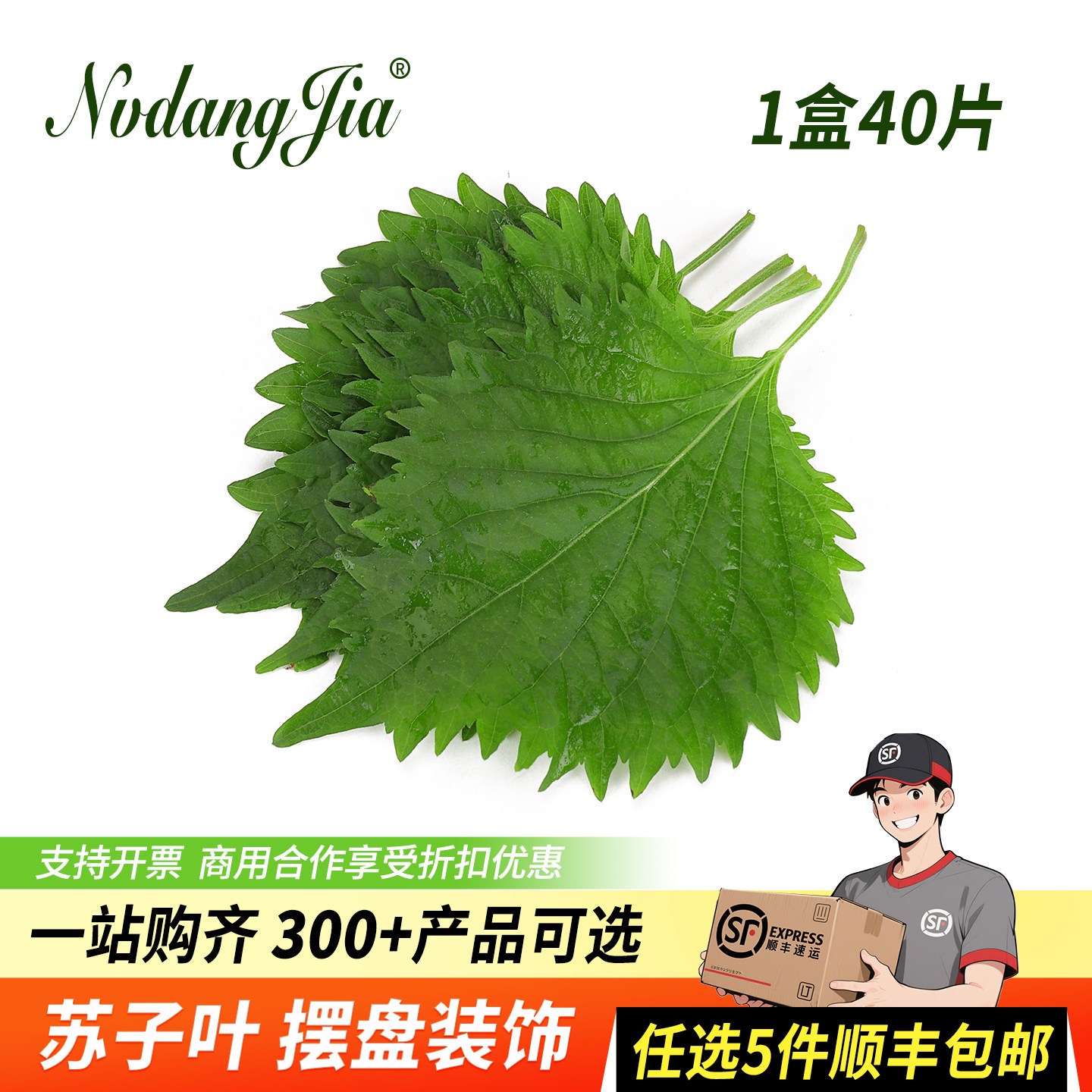 新鲜紫苏叶子大叶日料刺身寿司摆盘装饰花草苏子叶摆盘装饰花草,水产肉类/新鲜蔬果/熟食,其它,淘宝优惠券,粉丝福利购,淘宝优惠卷