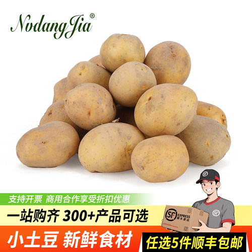 新鲜迷你小土豆西餐精品食材