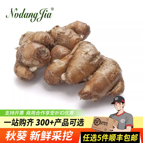新鲜沙姜椰子鸡调料香料食材