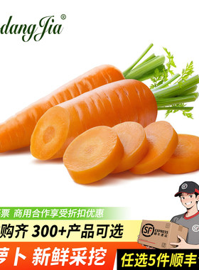 新鲜水果红萝卜农家蔬菜