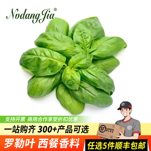 罗勒叶新鲜食用青酱制作专用罗勒叶子西餐食材摆盘装饰