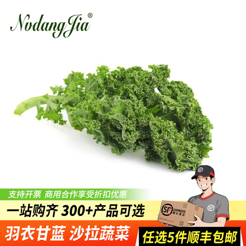 新鲜羽衣甘蓝嫩叶榨汁沙拉蔬菜
