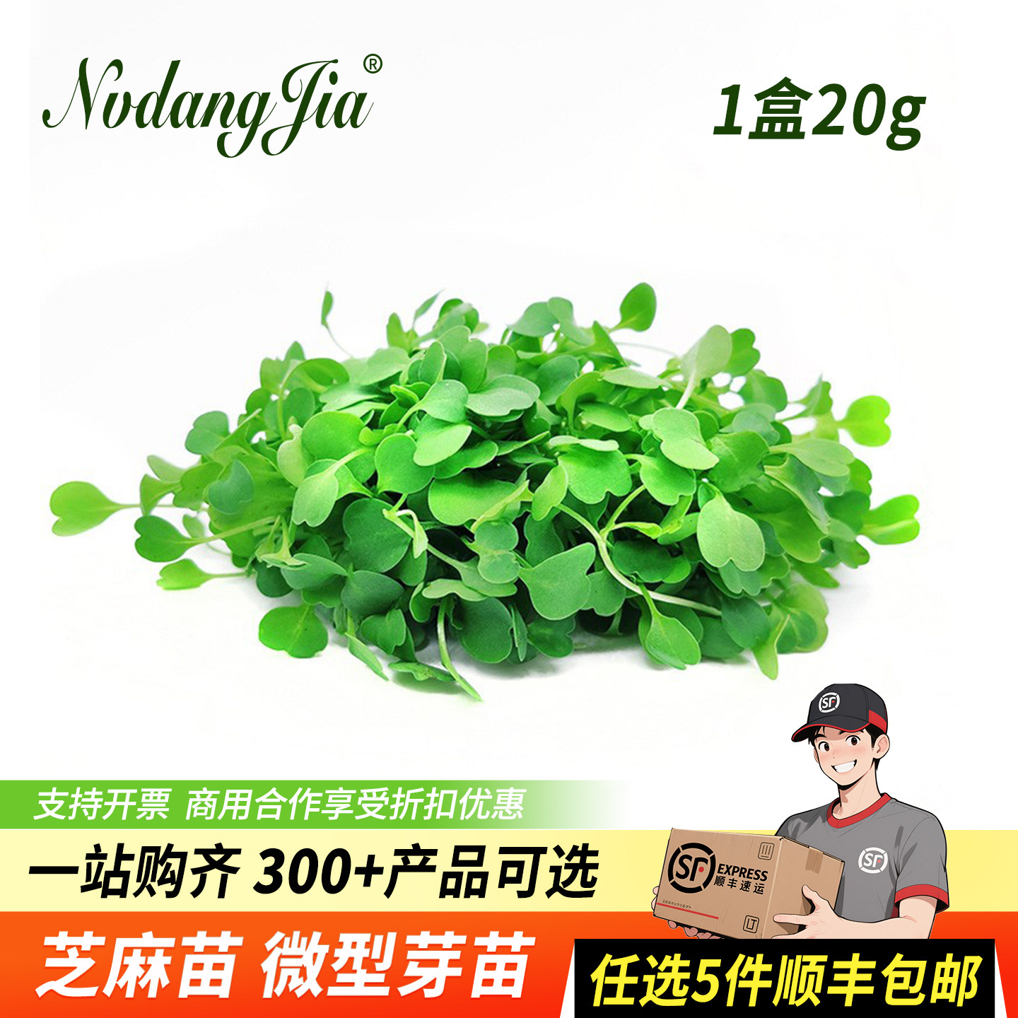 新鲜蔬菜苗芝麻菜苗微型芝麻苗 可食用苗芽菜 西餐装饰摆盘花草,水产肉类/新鲜蔬果/熟食,其它,淘宝优惠券,粉丝福利购,淘宝优惠卷