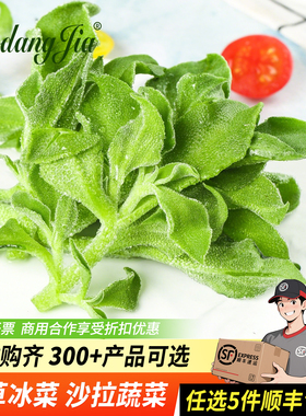 新鲜冰草450g冰菜冰叶西餐凉拌火锅生吃沙拉食材新鲜蔬菜顺丰包邮