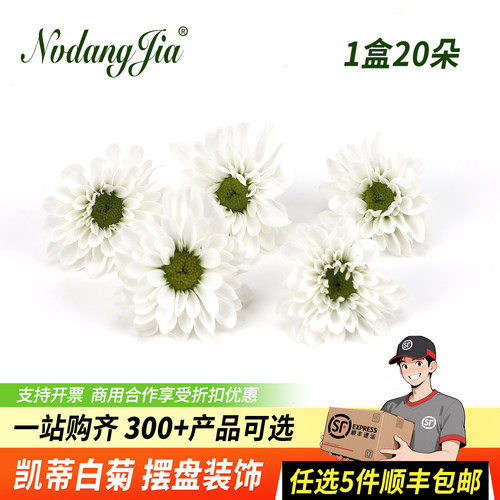 凯蒂白菊新鲜小白菊摆盘装饰鲜花