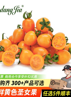 新鲜黄色圣女果500g 小番茄樱桃西红柿新鲜食材沙拉 水果黄色番茄
