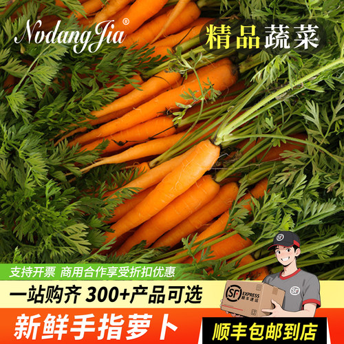 手指萝卜新鲜胡萝卜迷你小红萝卜西餐食材小萝卜水果蔬菜沙拉包邮
