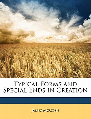 【预售】typical forms and special ends in creation