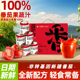 番茄汁礼盒0添加新疆西红柿汁100%果蔬汁饮料番茄红素0脂钠