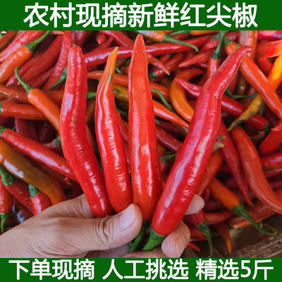 新鲜红辣椒红尖椒全红辣椒红美人杭椒美人线椒辣椒酱红尖椒二荆条