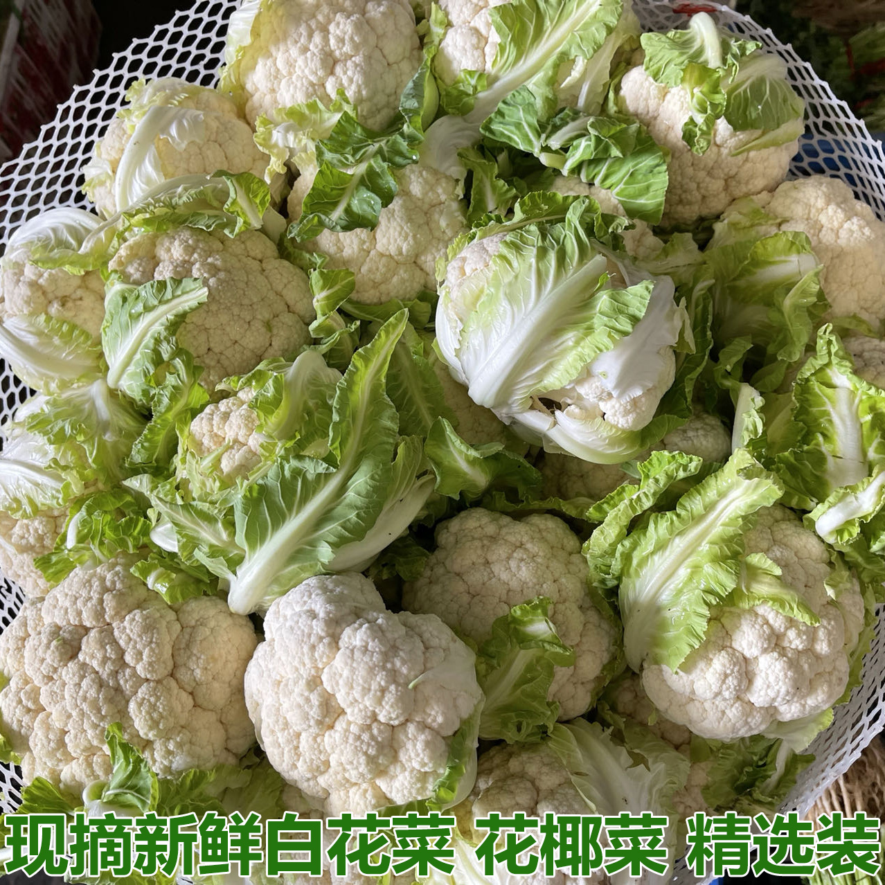 湖北现摘新鲜白花菜 菜花 花椰菜炒肉食材宝宝辅食鲜嫩现砍发货包