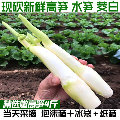 茭白笋时令新鲜蔬菜茭白农家高笋4斤装鲜嫩高山蔬菜现采加冰发货