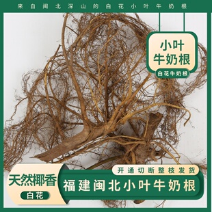 福建野生牛奶根500g新鲜现挖发货自然晾晒松溪白花小叶牛奶根100g