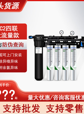 爱惠浦MC2四联款净水器 MC2 Quad四联 餐饮酒店用高流量CSR四滤头