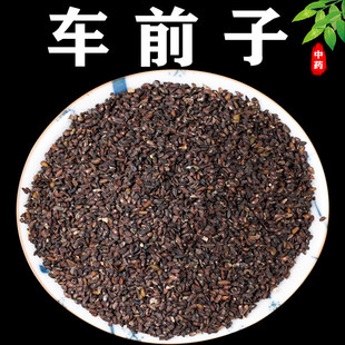 野生车前子中药材500g特级水洗车前籽车前草子壳粉泡水
