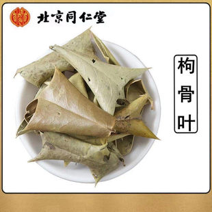 枸骨叶500g中药材功劳叶狗骨叶枸骨茶猫儿刺八角刺可磨粉