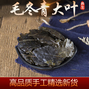 云南正宗毛冬青茶叶新货500g毛冬青苦丁茶嫩芽泡水