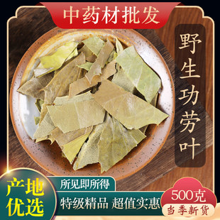 中药材精选野生十大功劳叶功劳叶枸骨叶 猫儿刺 八角刺 500g克