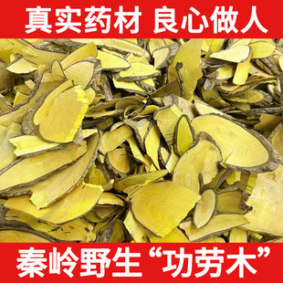 秦岭野生十大功劳中药材500g功劳木新货土黄连根十大功劳