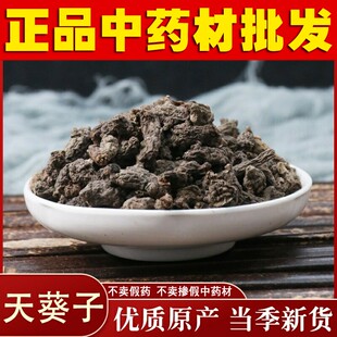 中药材  天葵子 紫背 天葵子 千年老鼠屎 500g 新货