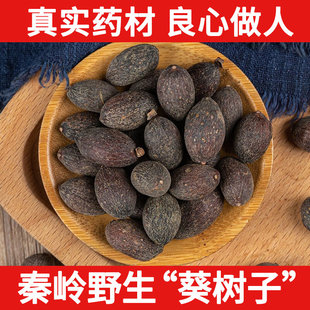 秦岭野生葵树子中药材500g葵树籽老果葵扇子葵扇籽蒲葵籽