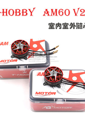 T-HOBBY固定翼AM60V2竞赛空战电机马达F3P赛场室内外飞行切换2-3S