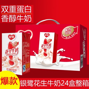 新日期银鹭花生牛奶蛋白饮品250mlx16/24盒整箱早餐营养学生奶