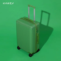 Макаронная серия стандартной модели-авокадо зеленый