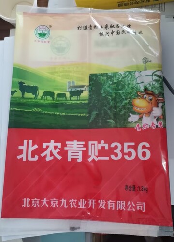 大京九北农356青贮专用玉米种
