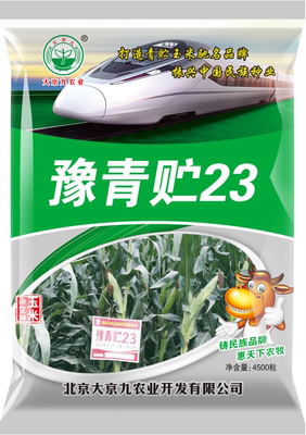 大京九春夏季高产玉米