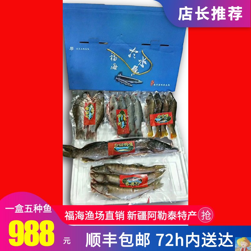 阿勒泰冷水鱼品种图片