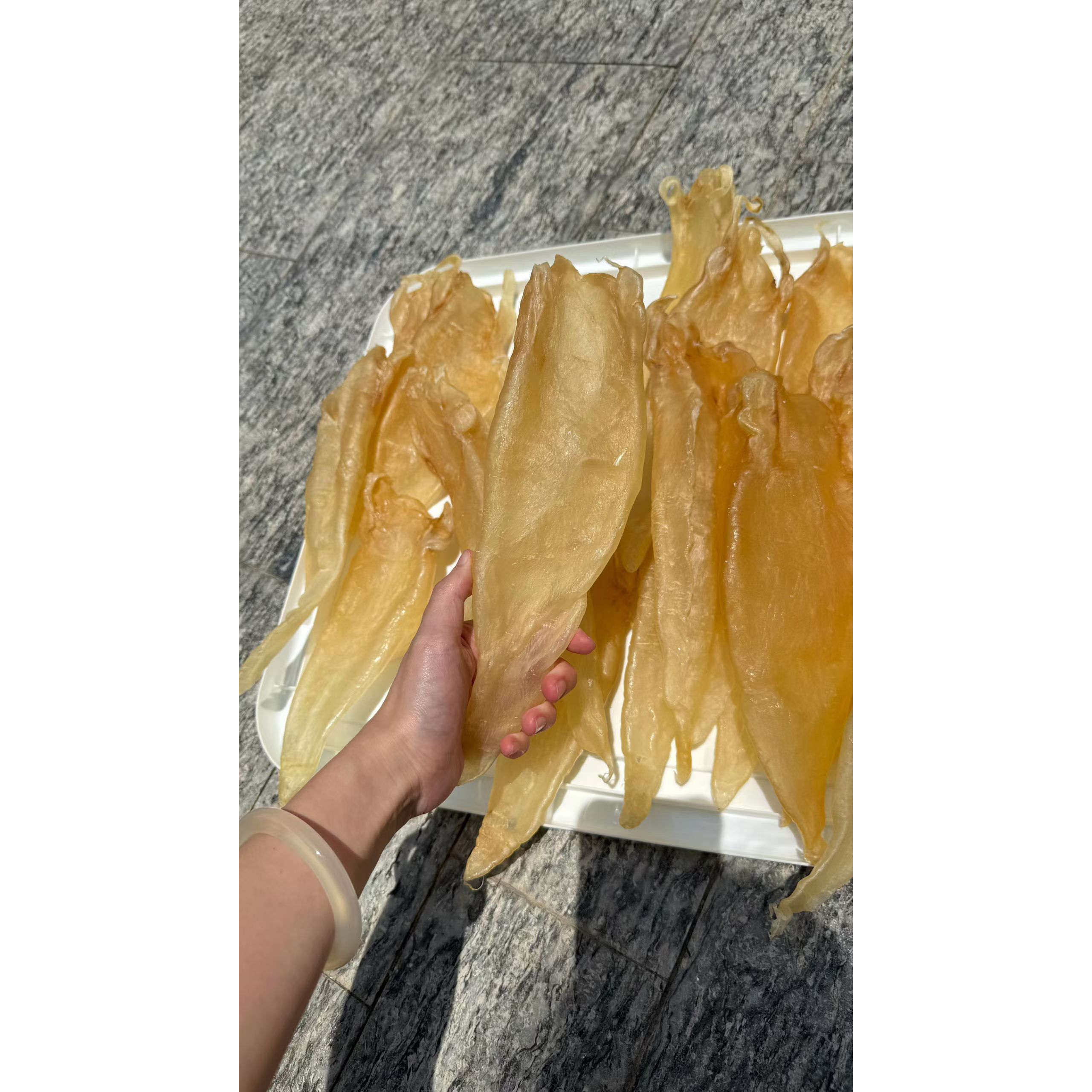（精挑白富美）野生深海原胶巴母合集 北海胶母鳘鱼胶孕妇月子