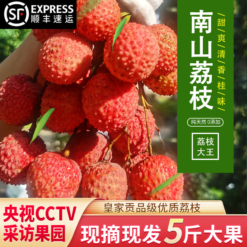 南山荔枝桂味荔枝新鲜水果香甜老树包邮顺丰空运礼盒广东特产