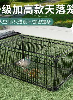 野外捕鸡连环套笼加密只