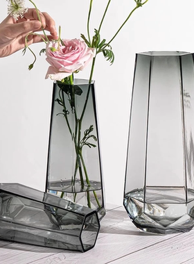玻璃花瓶水养插花轻奢高级感透明摆件客厅插花水培富贵竹鲜花器皿