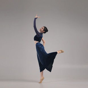 傣族舞蹈演出服定制新款剧目《陶醉了》女款学生艺考表演花腰傣裙