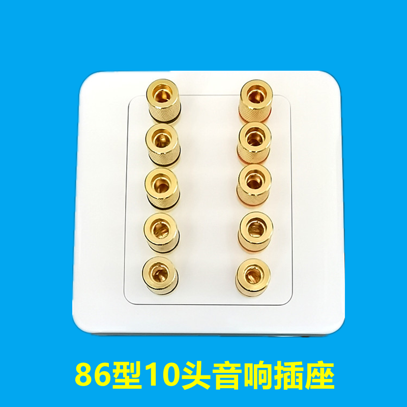 86型音箱接线柱十孔位音响座5组音响喇叭插座10头音箱面板 香蕉座