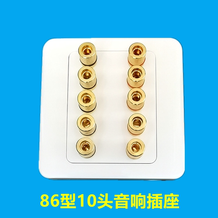 86型音箱接线柱十孔位音响座5组音响喇叭插座10头音箱面板 香蕉座