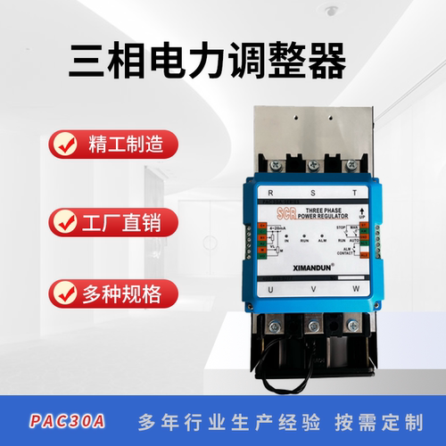 希曼顿电力调整器工业电器B301
