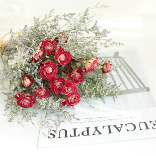 云南鲜花黄白红玫瑰干花天然真花风干文艺拍照金枝玉叶小花束雏菊