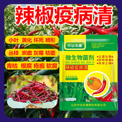 辣椒疫病清病毒病专用药杀菌剂辣椒卷叶炭疽黄根腐复合微生物菌剂